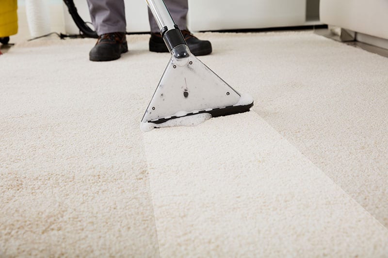Carpet and Floor Care Houston Commercial Cleaning Companies