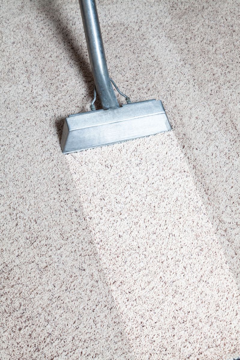 Houston Janitorial Services Restore Carpets with Cleaning